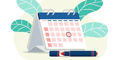 Calendar fiscal 2025 – ce trebuie să știe PFA-urile și SRL-urile